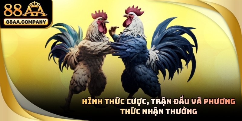 Đá gà 88aa hình thức cược và nhận thưởng